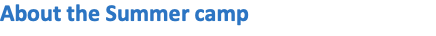 About the Summer camp